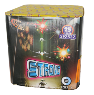 3F2532.png 3F2532 - Bateria 25 STRONG - Imagen 1