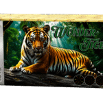 4F802E - Bateria 80 WONDER TIGER