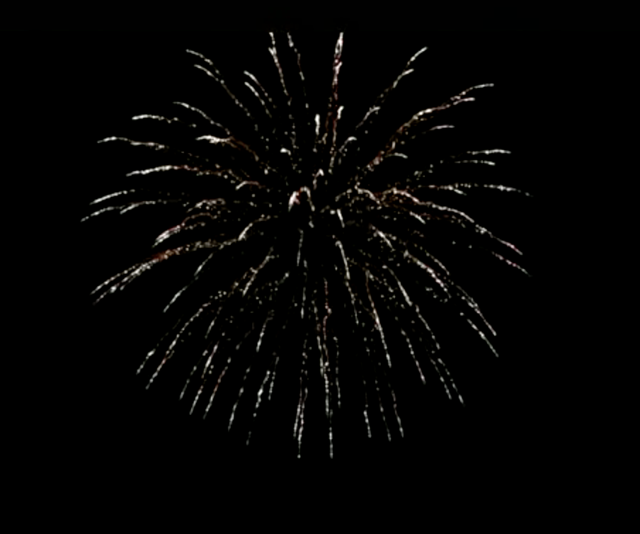 B4_-Gold-Tit-Willow-2.png Gold Titanium Willow - Imagen 1