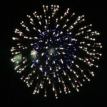 Gold Strobe Crown Chrys to Lemon with Blue Pistil